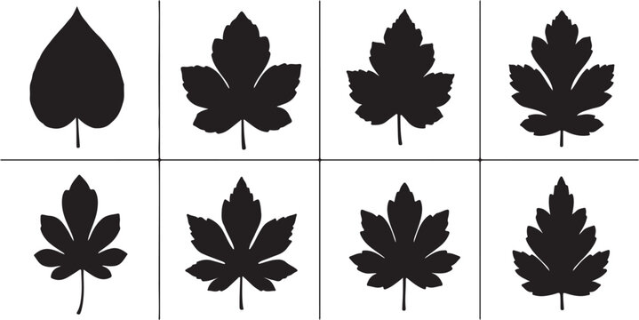 Collection of silhouetted autumn leaves with detailed veining and textured appearances