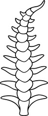 Stylized Human Spine with Leaf-Like Vertebrae Vector Illustration