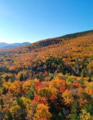 Aerial view of a forest and mountains covered in fall foliage during sunset hours. 
