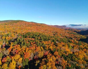 Aerial view of a forest and mountains covered in fall foliage during sunset hours. 