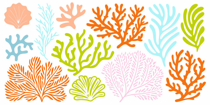 Assorted colorful stylized coral and seashell illustrations on white vector illustration