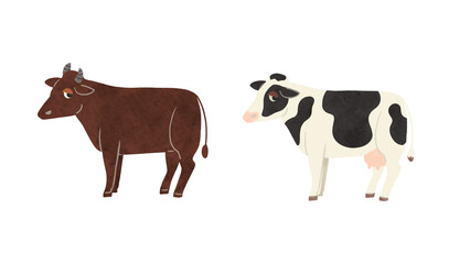 茶色い肉牛と白黒の乳牛　水彩風手描きイラスト