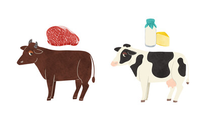 肉牛と乳牛・霜降り肉と乳製品　水彩風手描きイラスト