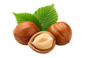 Three hazelnuts with green leaves isolated on transparent background