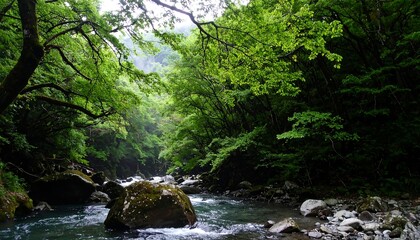 Obraz premium Lush mountain stream