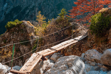 Wooden bridge over a mountain river. Logar valley, Logarska Dolina, Slovenia