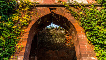 Old brick archway ruin with ivy vines weathered building exterior