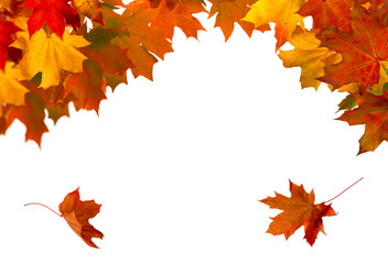 A cluster of vibrant red, orange, and yellow autumn leaves isolated on a transparent PNG background