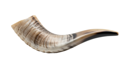 Isolated ram shofar for rosh hashanah and yom kippur jewish holiday traditional horn instrument background