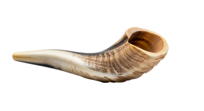 Isolated shofar ram horn instrument for rosh hashanah jewish holiday traditional religious object