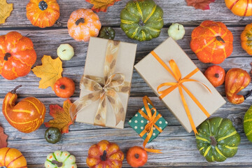Autumn still life with colorful pumpkins and orange ribbon gifts