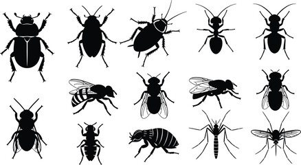 A collection of black silhouette illustrations of various common insects, including beetles, cockroaches, ants, bees, flies, and mosquitoes.