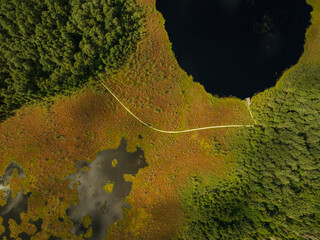 Aerial View of Lake, Forest, and Marshland in Lithuania