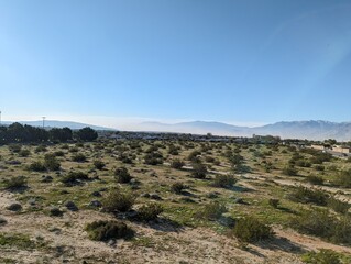 desert landscape with blue sky