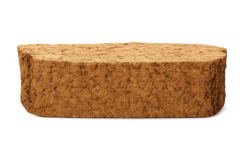 Single slice of whole wheat bread isolated on transparent background