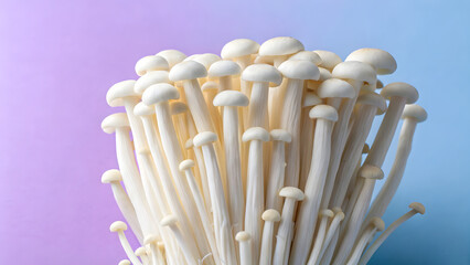 A vertical arrangement of fresh enoki mushrooms stands upright on a soft lilac pastel background with a gentle gradient—blending from pale lavender at the base to a whisper of dawn sky blue at the top