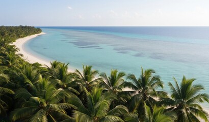 Tropischer Strand aus der Vogelperspektive