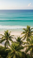 Tropischer Strand aus der Vogelperspektive