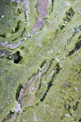 Marble surface in green tones with small gray parts