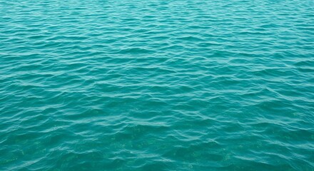 Obraz premium Ocean's Turquoise Embrace: The tranquil surface of the ocean shimmers with a captivating turquoise hue, creating a sense of serenity and boundless expanse.