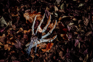 Burning Candle on Skeleton Hand with Autumn Leaves. Pumpkins and Skeleton Hand with Candles. Design layout with autumn leaves and Halloween decor. Space for text. 