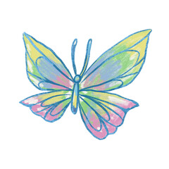 butterfly