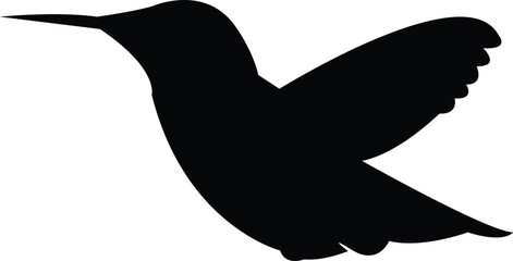 Flying Amethyst woodstar bird Silhouette Design  And Vector Illustration. 