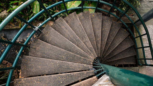 Spiral staircase viewed from above in a lush garden setting for architectural design
