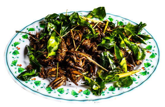 fried crickets at a traditional Market in the city of Vientiane in Laos