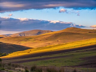 road to the mountains