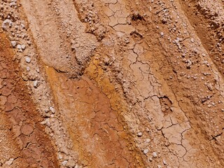 Parched Earth Cracked Mud and Tire Tracks in Arid Landscape.