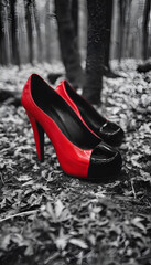 Red and Black High Heel Shoes in Monochrome Forest Floor
