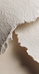 Torn paper texture close-up, studio shot, neutral background, design element