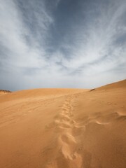 Footprints leading up sand dune in Torre dei Corsari, Sardinia