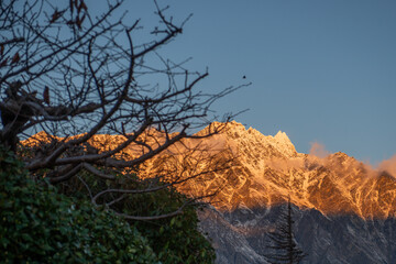 Sun hitting snowy alpine mountains on blue sky day with tree branches, bird flying past