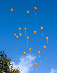 Orange balloons in a clear sky