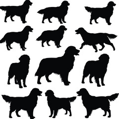 Golden retriever silhouette, dog breed vector, pet animal shape, canine outline art, domestic dog illustration, hunting dog profile, retriever standing pose, pet graphic