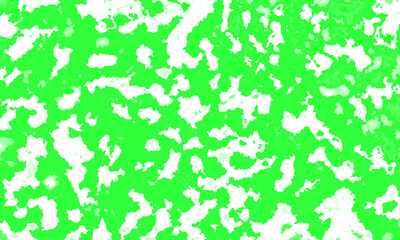 Fototapeta premium White Green Abstract Camouflage Pattern