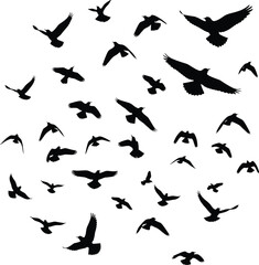 Flying bird silhouettes, flock of birds in sky, freedom, wildlife, nature illustration, migration, abstract background, black flying shapes, vector design