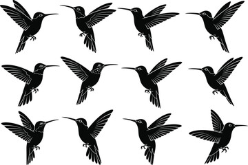 Hummingbird silhouettes, flying birds, nature icons, black bird shapes, vector design, hummingbird collection, wing details, animal wildlife, flying animals, bird illustration