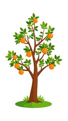 Obraz premium Orange tree illustration