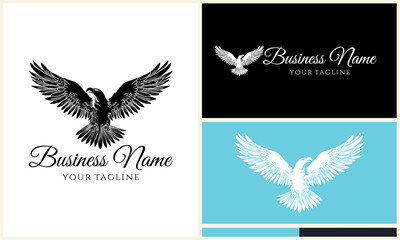 Eagle Logo Design Variations. (62)