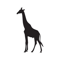 Giraffe silhouette vector icon. Standing African safari animal graphic symbol, isolated on white background. Wildlife logo design element.
