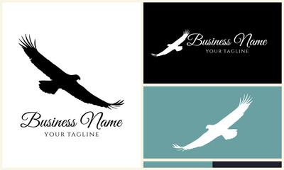 Eagle Logo Design Variations. (25)