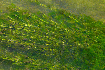 A pure stream flowing through a stream