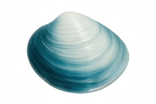 Gradient blue-white clam shell floating against transparent backdrop, highlighting marine elegance and delicate natural form for design applications