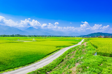 夏の信州　安曇野の田園風景
