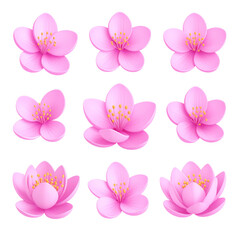 Pretty pink blossoms float gently, a collection of delicate floral elements for spring designs.