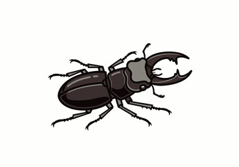 Illustration of a Stag Beetle