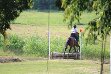 Competitive equestrian sports